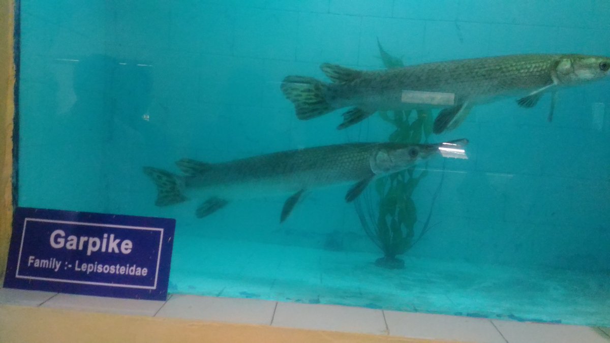 Genomics Lab IICB tweet media