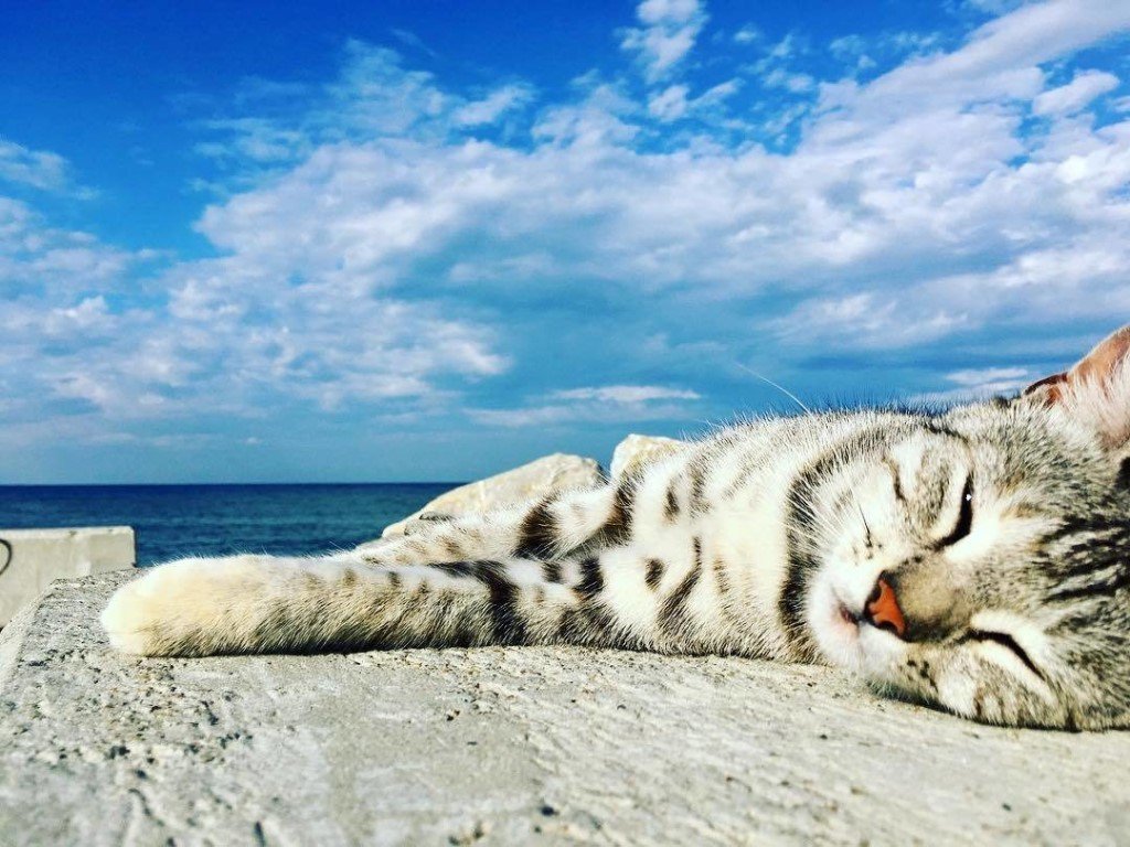 Доброе утро картинки с морем и пляжем прикольные