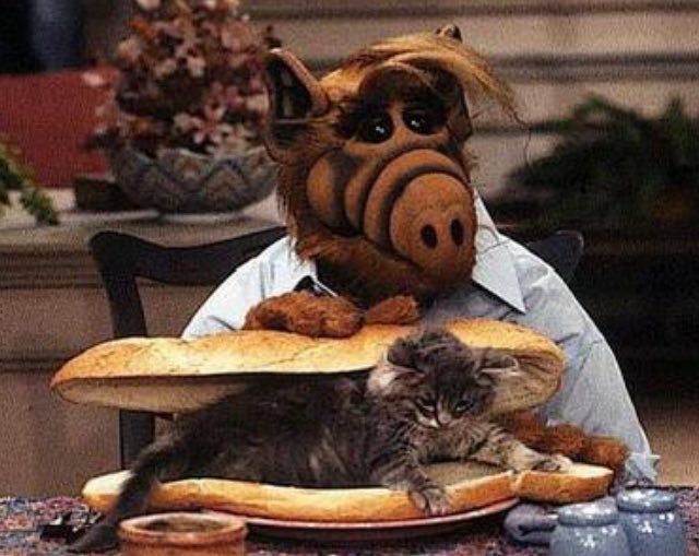 Günaydın. Bizim pazar sabahlarını sevmek için güzel nedenlerimiz vardı