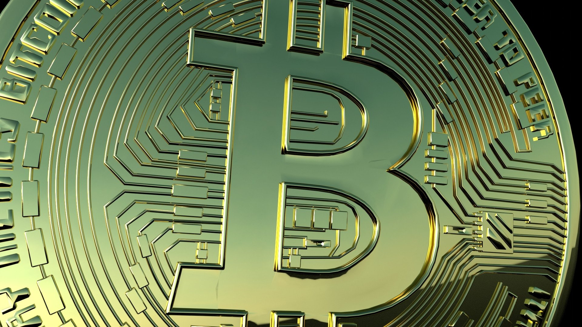 Bitcoin Dark Web Bitcoin Dark Web