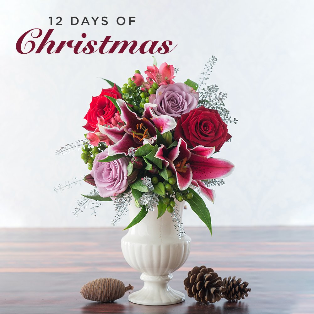 AppleyardLondon's tweet photo. 🎄On the second day of Christmas, we're giving away Festive Punch, a hand-tied Christmas bouquet. 💐

To enter, simply follow us &amp; RT!

Read more: https://t.co/Vhw03bdUDR https://t.co/INZbVVFSml