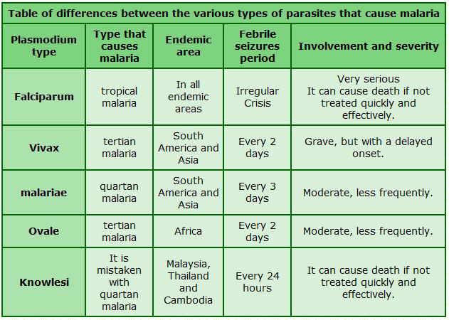 Малярия таблица. Сравнительная характеристика малярийных плазмодиев. Сравнительная характеристика малярий. Виды малярии таблица.