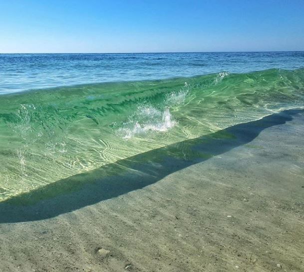 AMIvacations's tweet photo. Will we see you out at the beach today?

IG 📷: followmetolongboatkey https://t.co/hlU0uZdpGt