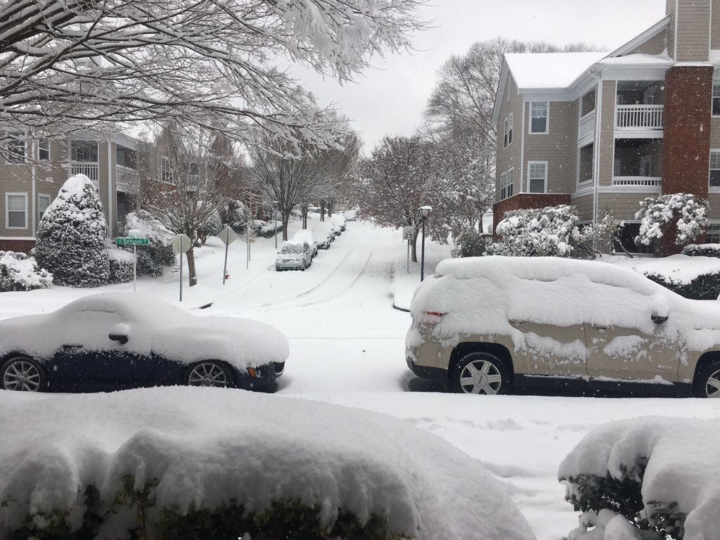 Ashley D tweet media