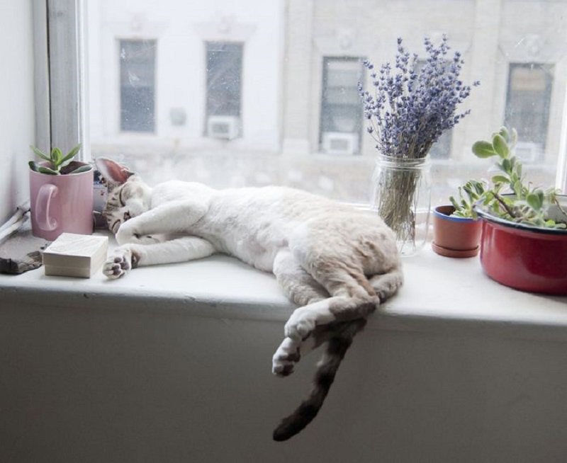 правильное использование подоконника