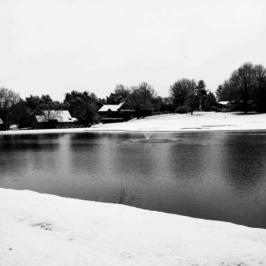 Fox Den Golf Shop tweet media