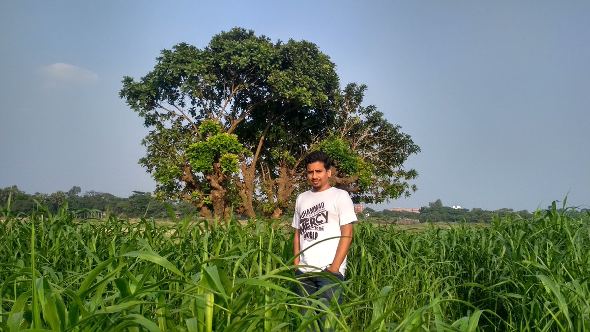 billal4b's tweet photo. https://t.co/rdxCA2o3CJ
