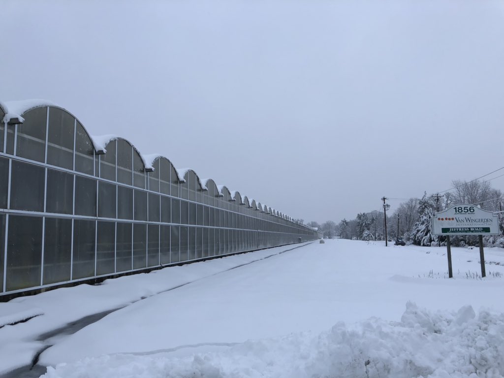 14” and still coming down ❄️