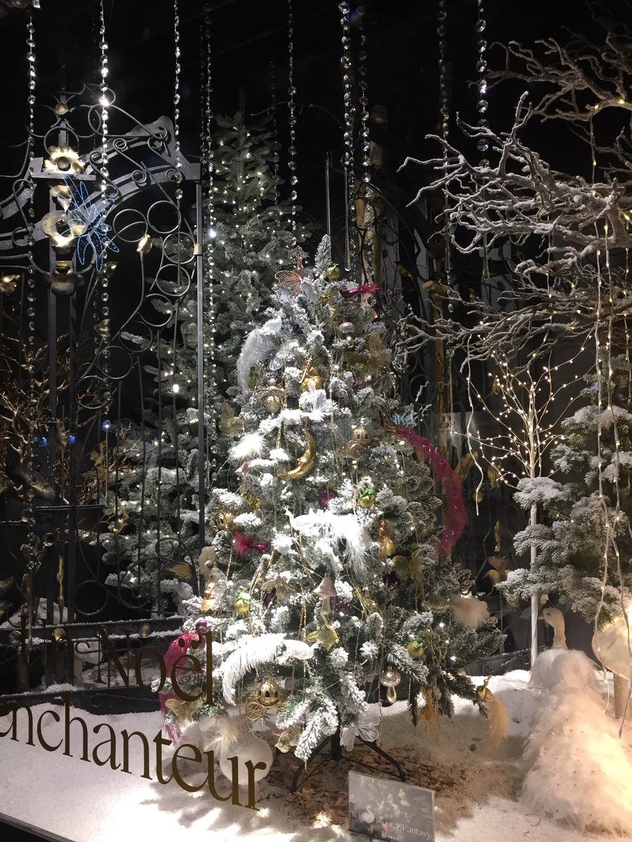 zeze_cb's tweet photo. #HappyHolidays #beautiful #flowazezé #pictures #christimastree #nice #noel2018 https://t.co/vC02CmMPRn