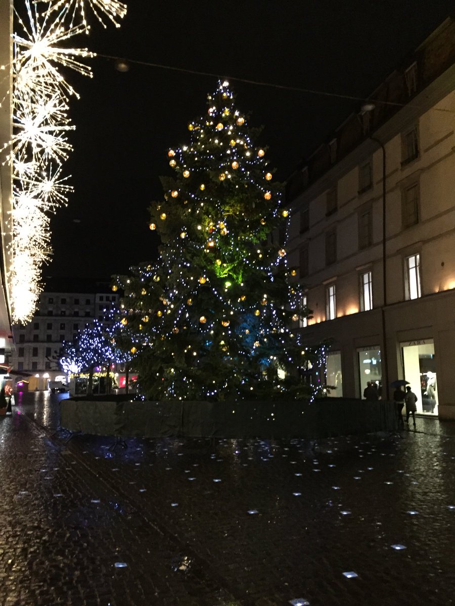zeze_cb's tweet photo. #HappyHolidays #beautiful #flowazezé #pictures #christimastree #nice #noel2018 https://t.co/vC02CmMPRn