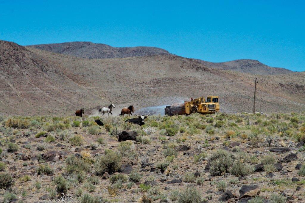 Groundbreaking day at the ⁦<a href="/Tesla/">Tesla</a>⁩ Gigafactory.  7000+ jobs and $6 billion invested since that day 4 years ago.  Remarkable. ⁦<a href="/GovSandoval/">David</a>⁩ ⁦<a href="/DiversifyNevada/">Nevada GOED</a>⁩ ⁦<a href="/EDAWNReno/">EDAWN</a>⁩ #nvleg