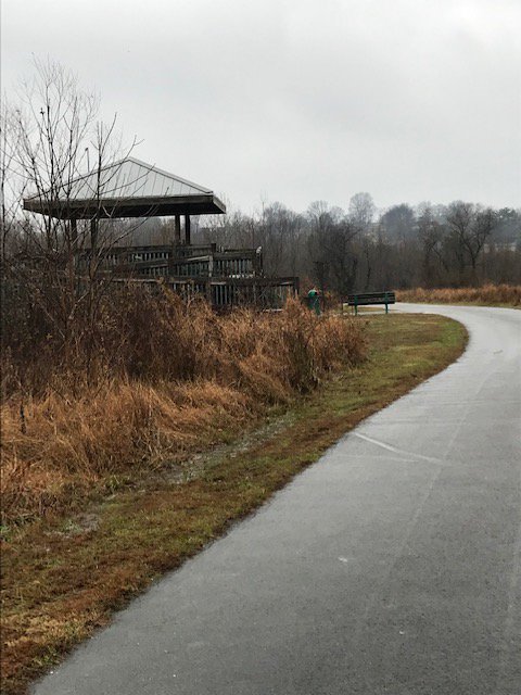 Friends of Shelby tweet media