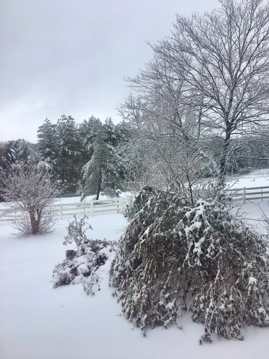 toniacorno's tweet image. Snow what #Diego? #InmanSC Beautiful! #Winter2018 @NWSGSP @wyffnews4 @thetopstoryWYFF @WSPA7