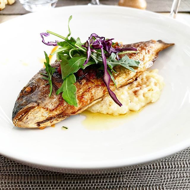 bObStronomie's tweet photo. Le Poisson Rouge à Frontignan, beau rapport qualité / prix.
Tu connais ?
#restaurant #instarestaurant #resto #miam #instafood #food #instagood #yummy #fish #poisson #igersmontpellier #TeamBlogMTP #foodlover #blog #blogfood https://t.co/ANojwV7cNG https://t.co/E00ECIVucD