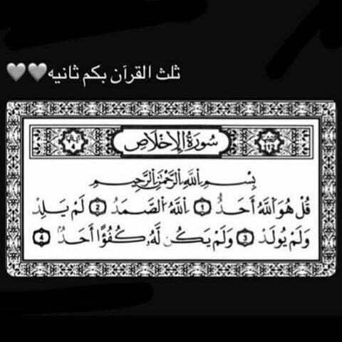 𓆩🦌𓆪 tweet media