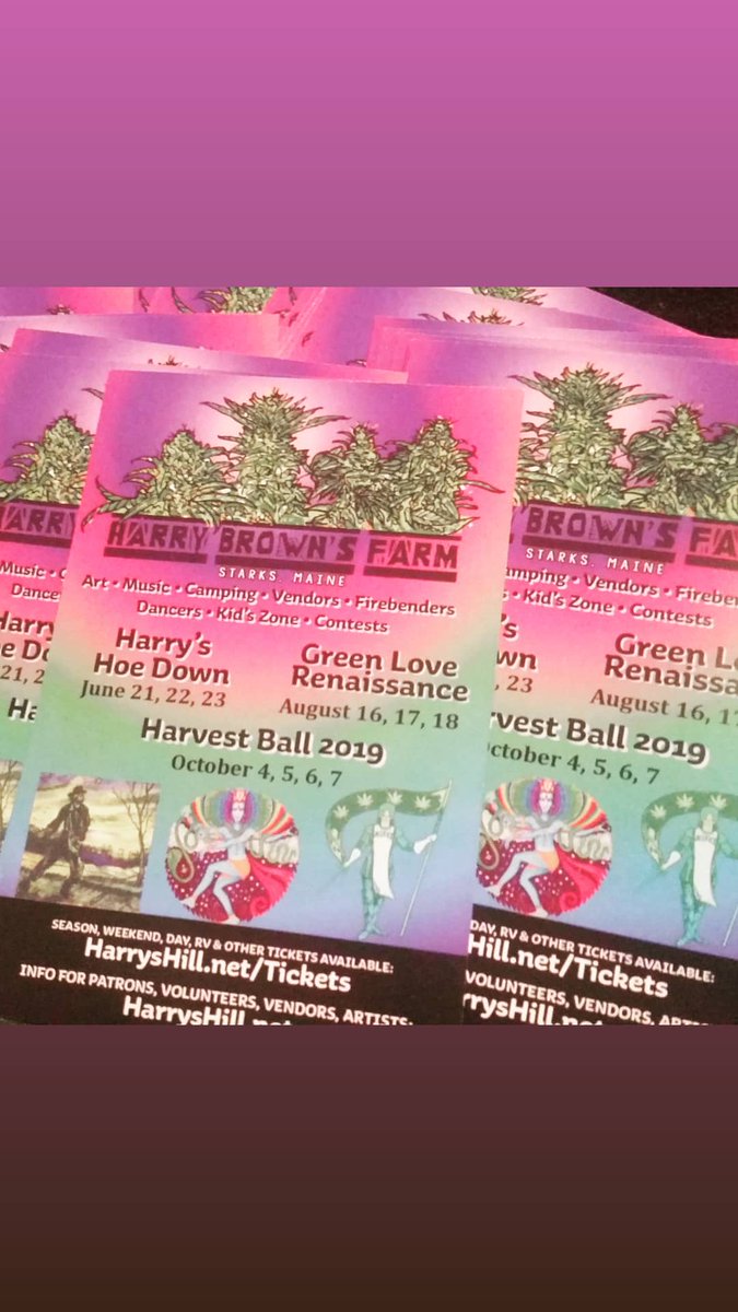 Shellsrocks's tweet image. 