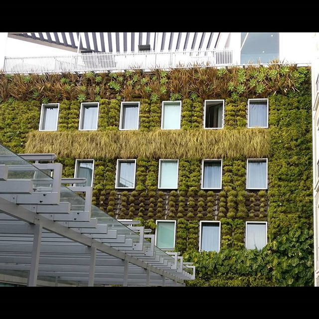 nanouk's tweet image. Jardin vertical #architecture1o1 #verticalgarden #greencity bit.ly/2RKOW9K