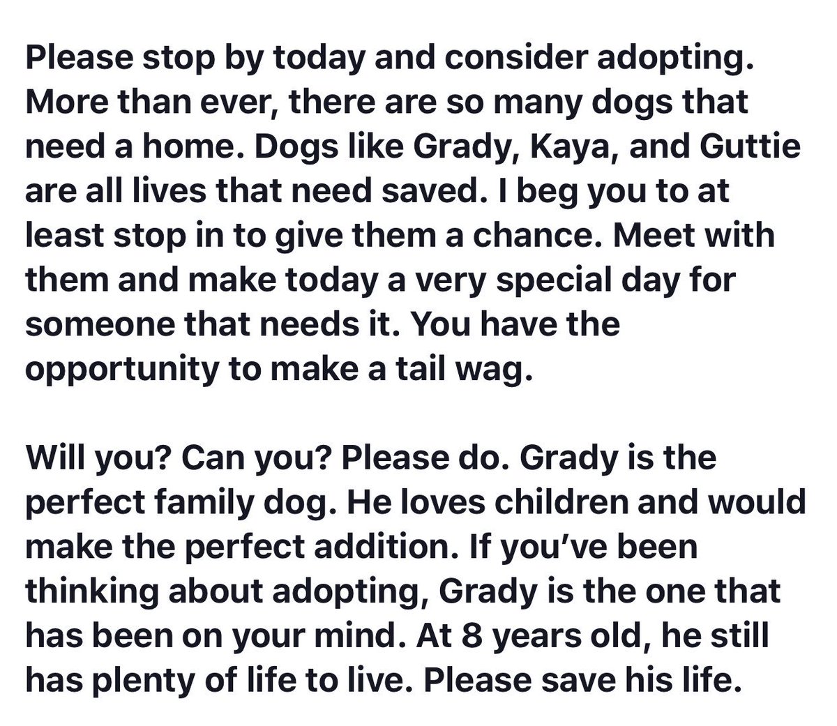 ToledoHumaneSociety tweet media