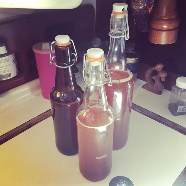 EarthPermit's tweet photo. First batch of #kombucha is done! #undocumentedhuman #earthpermit #undocumentedkombucha #diy #stayathomemom #sailboat #liveaboard #fulltimecruisers #pearson @adventureadrift https://t.co/ihpAPLLusL https://t.co/m5Q2y4Q0Zn