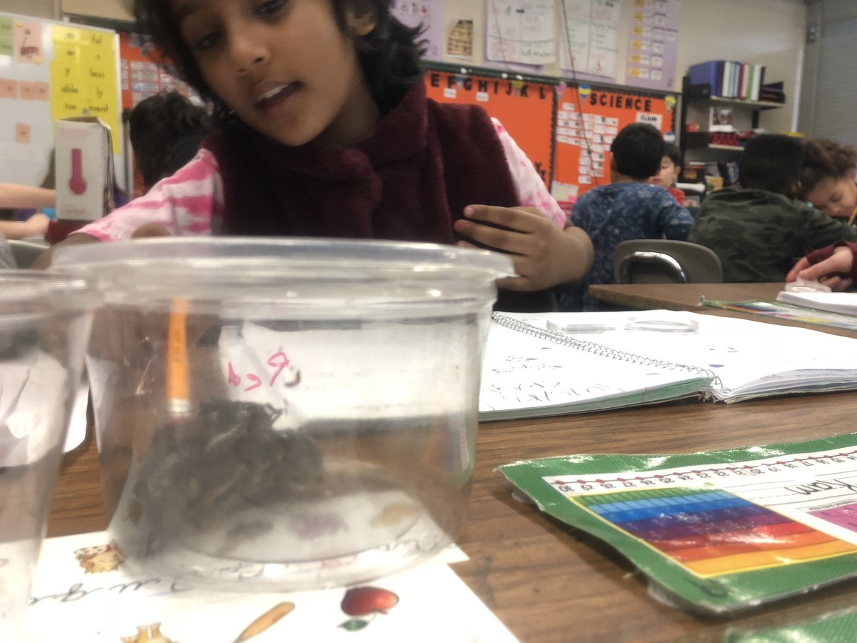 Jennifer L Traversone tweet media