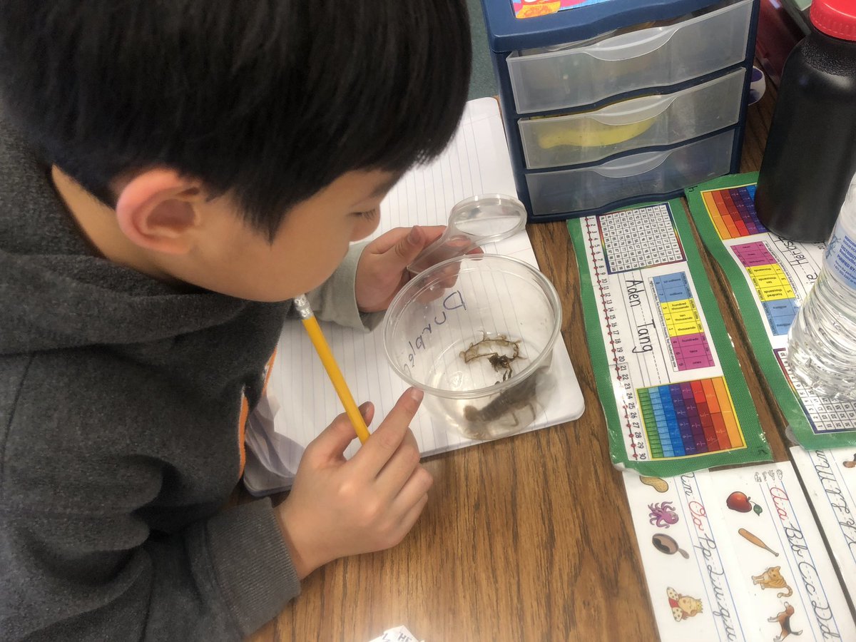 Jennifer L Traversone tweet media