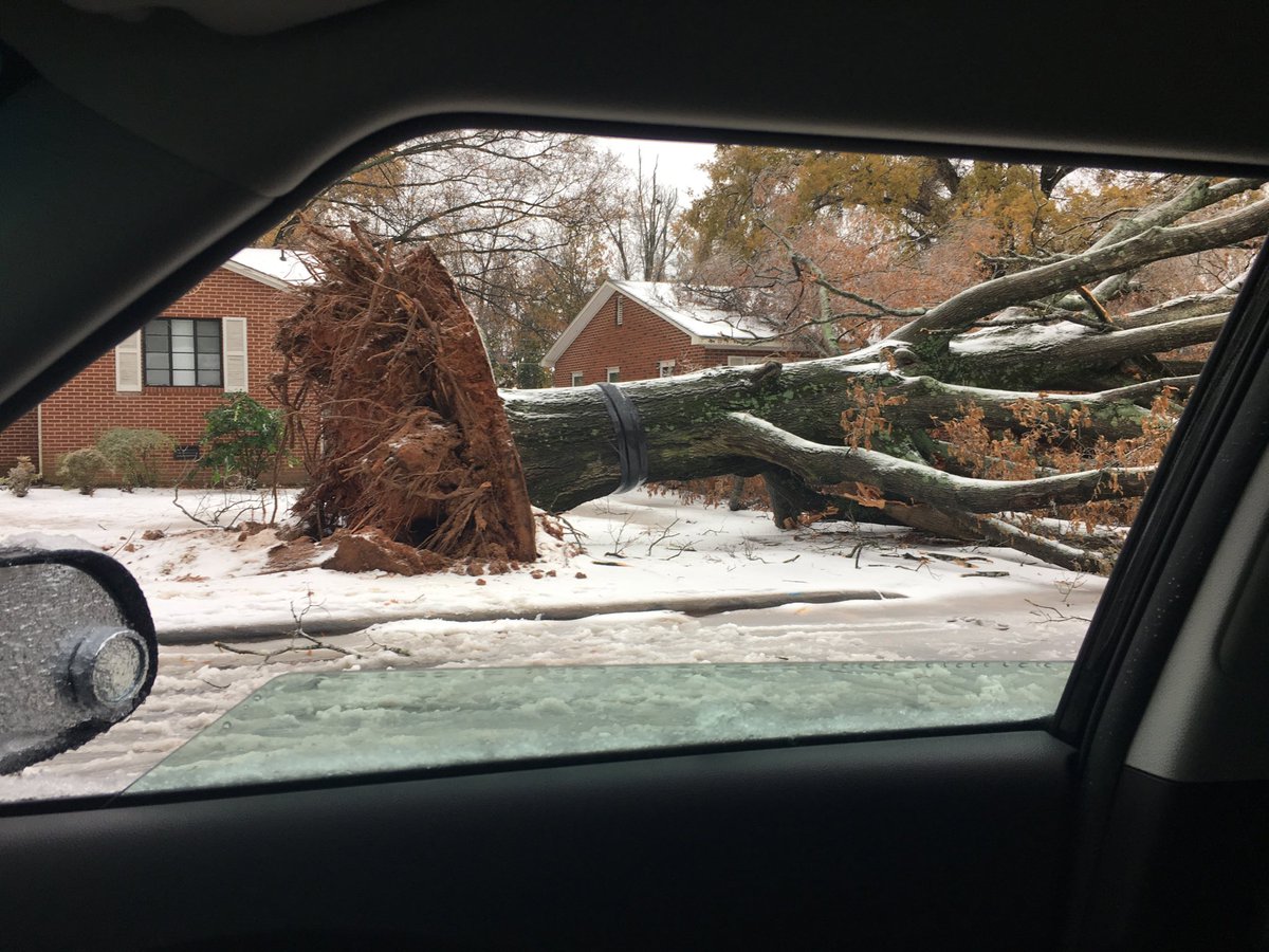 AmandaBazemore's tweet photo. Goodness. Just one lane closed because the tree limbs are in the right lane on Eastway Drive near Majeed Drive Charlotte. ⁦@WBTVNews⁩ #snowwbtv https://t.co/8qNc36zrt9