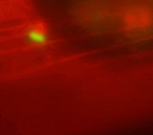 Want to learn more about how surfing bacteria hijack host actin? Come to my talk in minisymposium 4 at 5:20 in 31B at #ASCBEMBO18