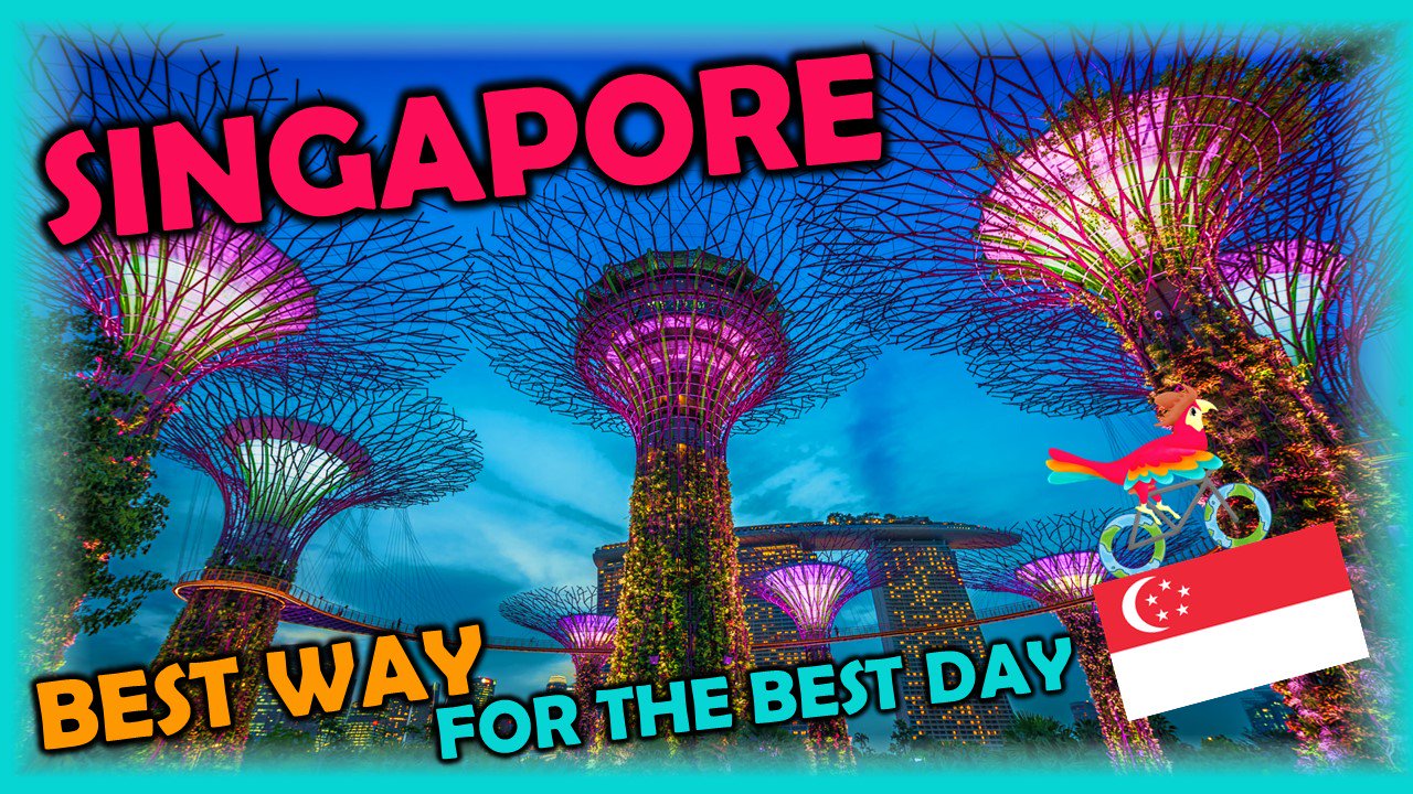 Tour Bird Buddy The Best Way For The Best Day Watch Now Free Self Guided Tours T Co B5vighuma5 Selfguided Walkingtour Freetour Travel Attractions Singapore Singaporean Singaporelife Singaporeair Singaporefood