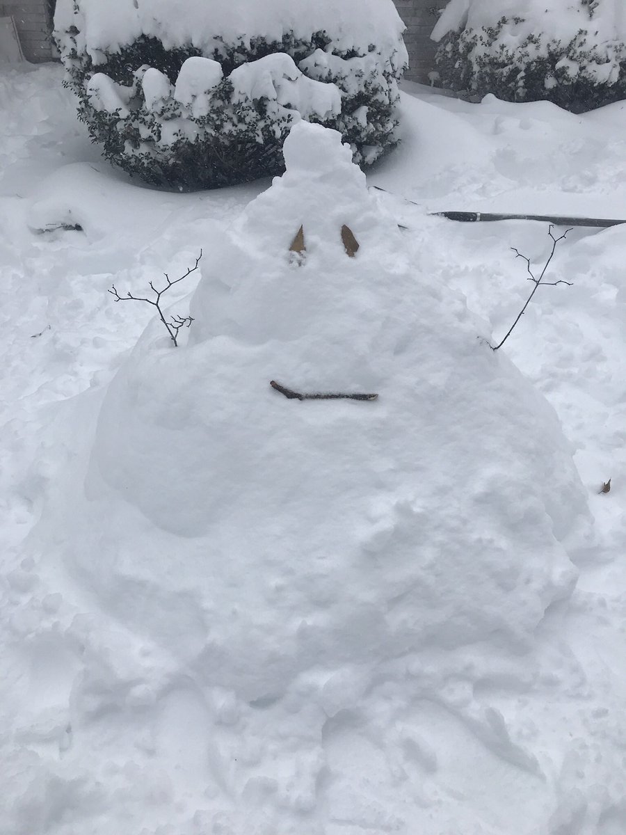SimplyLivv's tweet photo. Couldn’t build a snow man so poop emoji snowman it is @wxiiweather #mykidsloveit #momwin  @brianslocumwxii https://t.co/ItrNc4HXoR