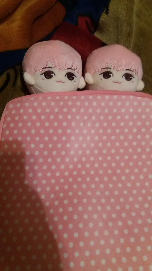 sasya_q's tweet photo. OMG @Samslens1 our babies are home! Thank you @Jong_sw for such a cute doll. And big big thanks to
@DreamzKnight2 for making sure they got here safely. https://t.co/iqTYmBmqoo