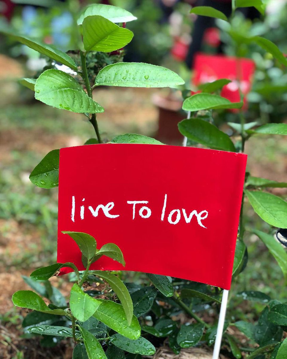 Drukpa's tweet photo. Not only just talking but we have to walk the talk for the benefit of all beings. Let’s not waste our time anymore, go out and do something! Just do it!
#TreePlanting #JustDoit #LivetoSustain
#Environment #CareEnvironment
#CareNature #LiveToLove #gyalwangdrukpa https://t.co/y9FH48Aktv