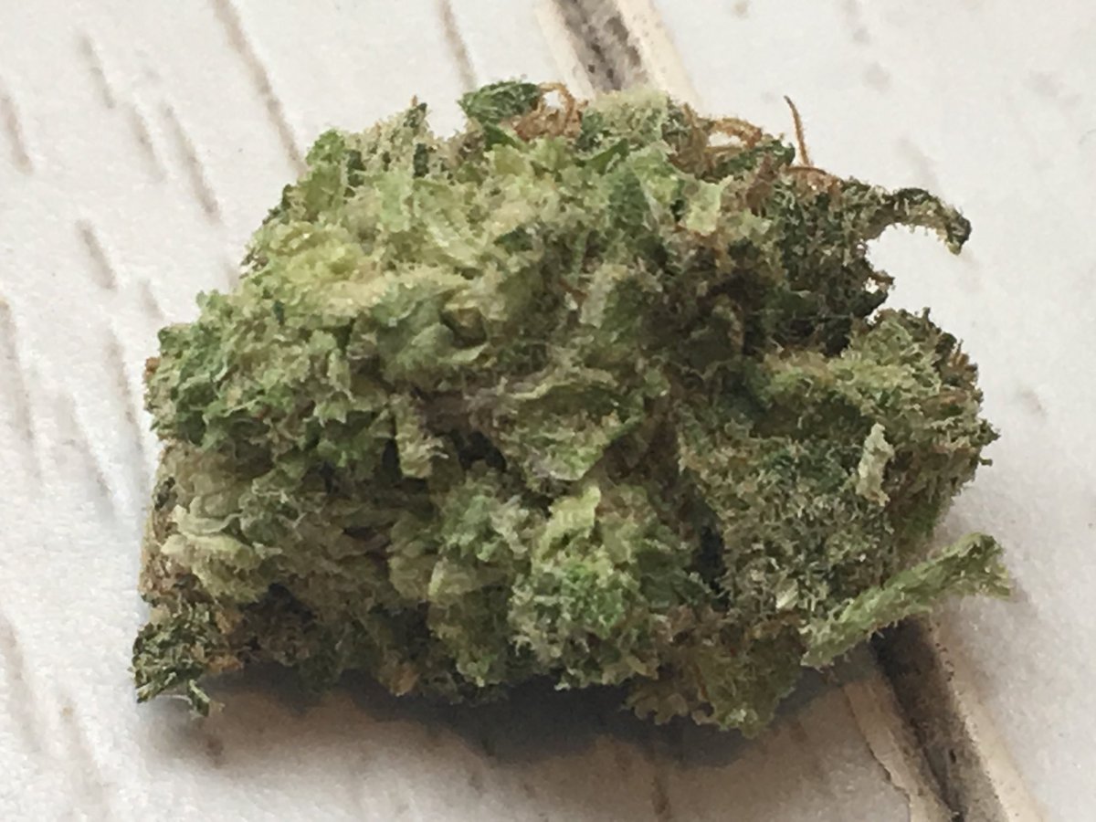 jfwhite99's tweet photo. As much as I enjoy vaping and dabbing, there is no substitute for good ole flower!
https://t.co/HPLmKJUWCf
#Cannabis #Florida #MedicalMarijuana #ResponsibleAdultUse #FreeTheFlower #NoSmokeIsAJoke #SmokeWeedEveryDay #FourTwenty #PatientsFirst #RegulateLikeAlcohol https://t.co/nr2RCaY4KU