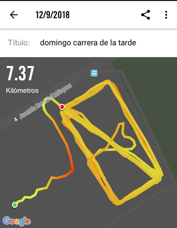 burrojp's tweet photo. Salir a correr para despejar la cabeza y no pensar en el partido. No habría funcionado 😏🐓🐓🐓 https://t.co/4YekDvwS6a