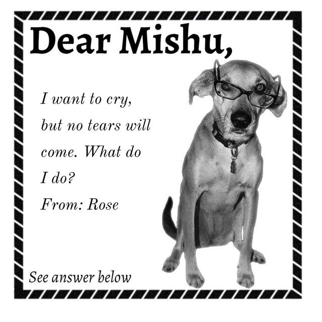 DearMishuDear's tweet photo. I want to cry, but no tears will come. What do I do? Rose asks, Mishu answers

❤️ #DearMishu 

https://t.co/Fw5Qqpyvys #cry #depressed https://t.co/eDN3UQBdLi