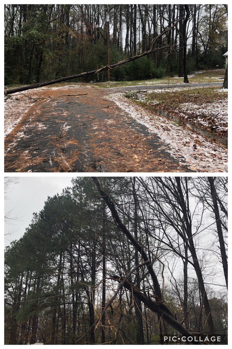 Tree on line off of Trotters Trail. Never go near downed trees or lines.