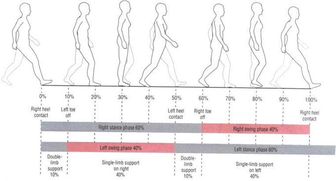 FootRichmond's tweet photo. There's a lot more to your #gait than you think! We carry out a free #foot and #gait #assessment #footsolutions #richmond https://t.co/R2d8wNTRLu