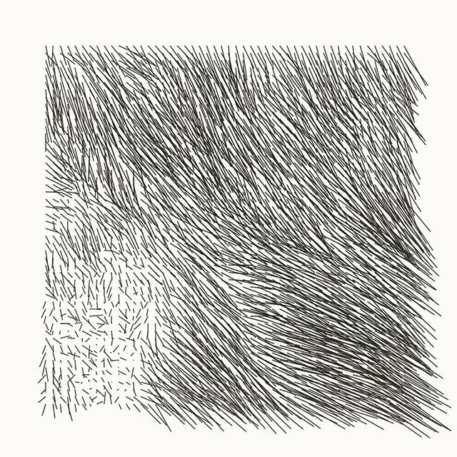 henryskup's tweet photo. I’ve incorporated some new ways to average across vectors and getting more confident with #JavaScript array manipulation #es6 .
.
.
#creativecoding #computationaldesign #codeart #lines #twojs #vector #design #computerart #randomness #noise https://t.co/ZRp3NZsdrI https://t.co/zkQ80SWMpn