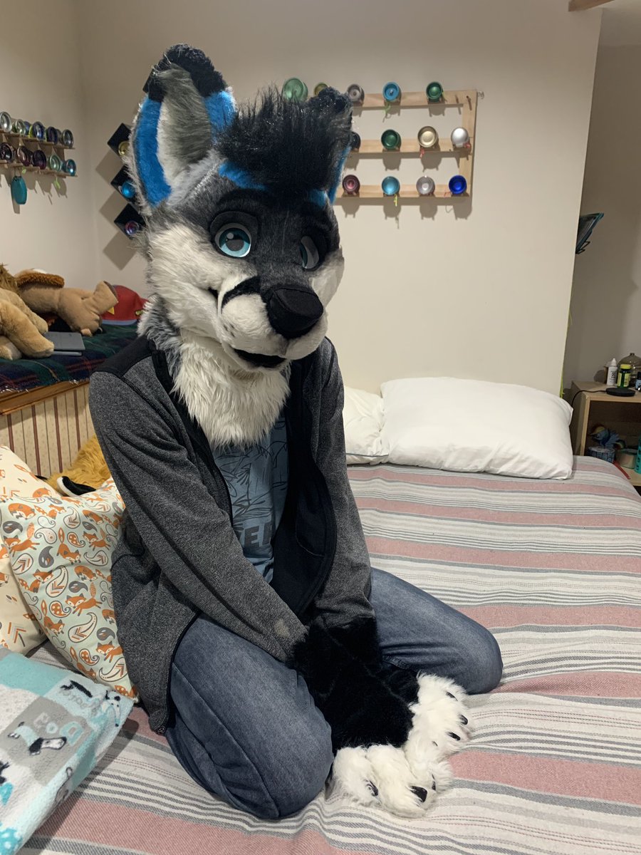 Twitchy_fox's tweet photo. What am I gonna do with this thing. 
@XanderWuffy is trying to act cute or something. https://t.co/WnHYmAr9IM