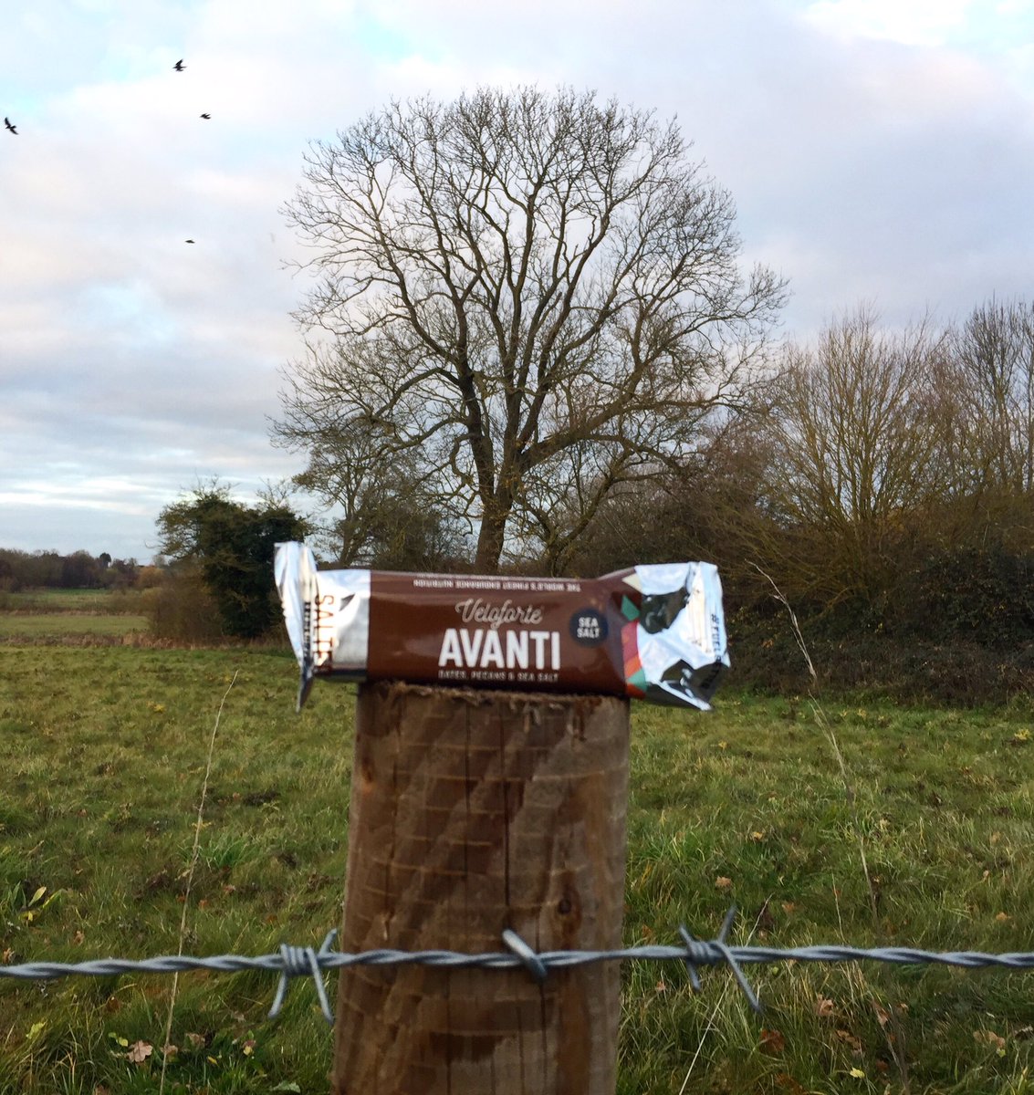 SophieH530's tweet image. Veloforte is the perfect fuel for my long winter rides 🚴🏻‍♀️ #veloforte #fastop #youvebeenchicked #cycling #cyclingphotos #cyclist #cyclinglife #cyclingshots #cyclingday #cyclinglove