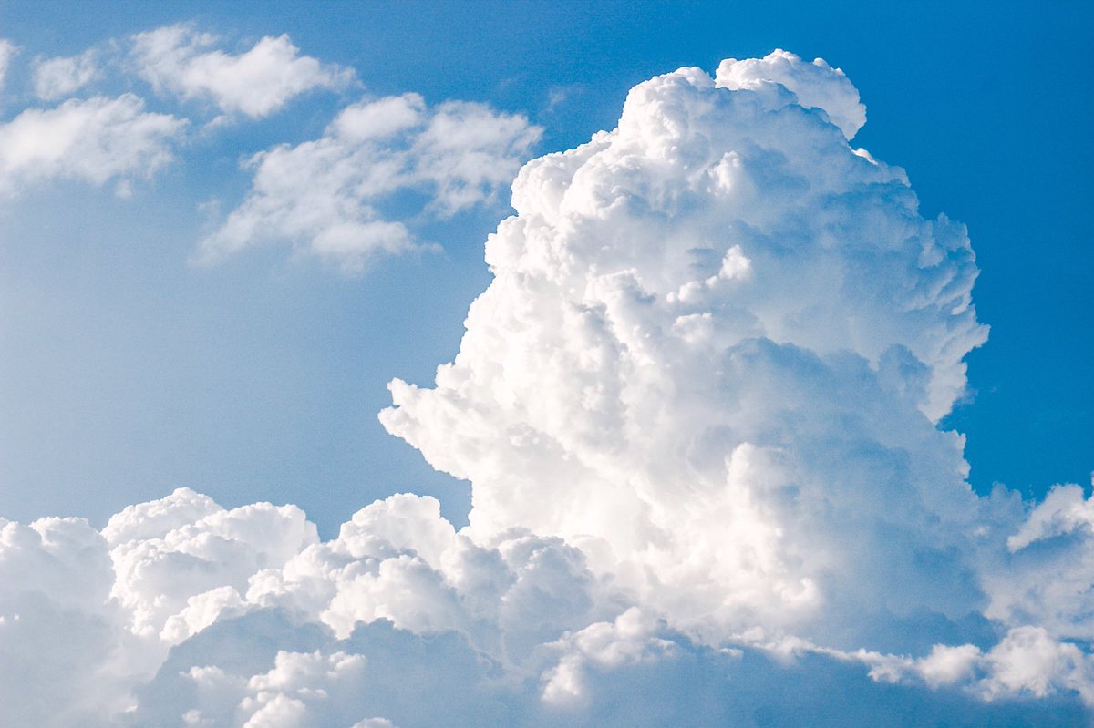 場末の自販機 tweet media