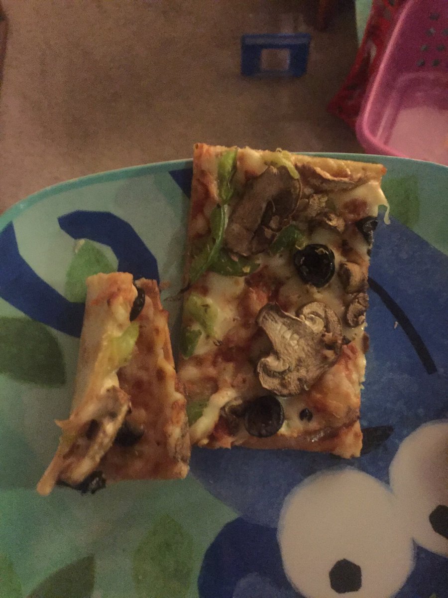 LindaJess's tweet photo. So this is how our @dominos pizza came last night... https://t.co/XnM4O6ZI4P