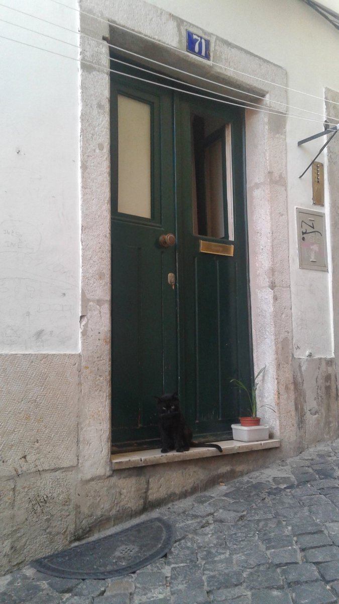 Barrio #Alfama,la cuna del #Fado  y el corazon Lisboeta este viejo barrio de pescadores,debe su nombre a su origen árabe #AlHamma.
#AnaMoura: “El fado es vida,son emociones”
#MuseodelFado  #CatedraldeLisboa #CastillodeSanJorge #CasadosBicos #PanteónNacional #MiradordasPortasdoSol