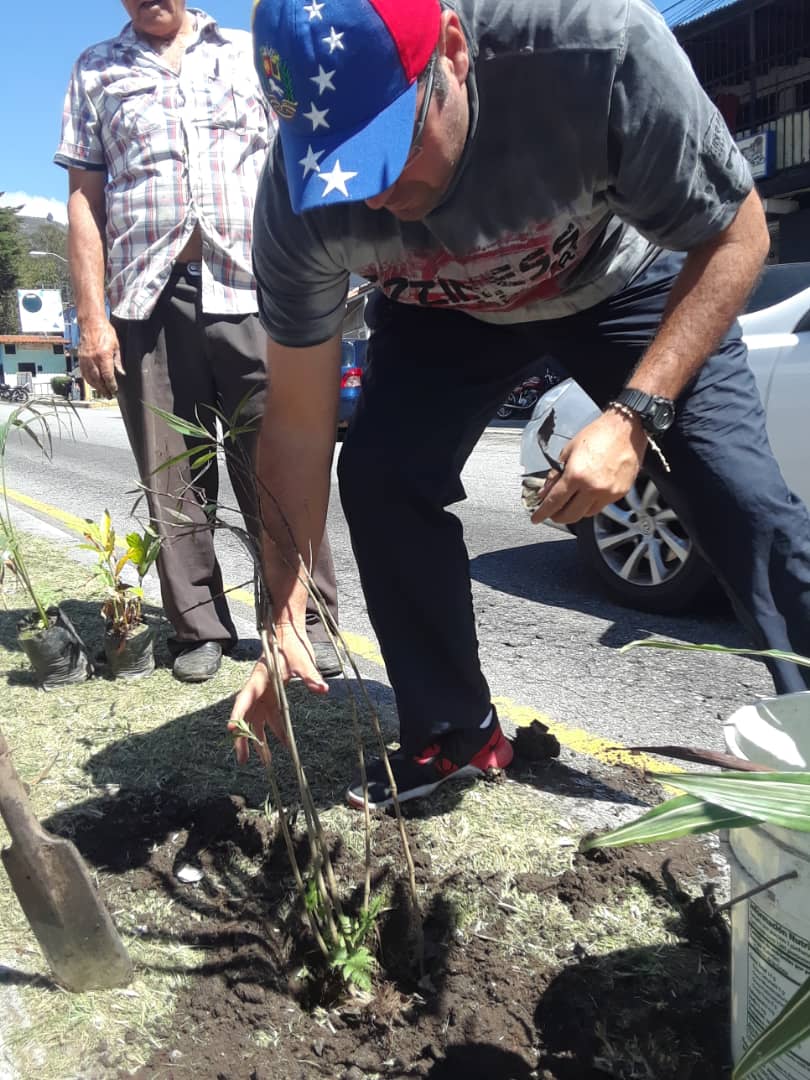 Algunos vecinos de la avda Universidad en #Mérida decidieron limpiar la avenida y sembrar árboles para evitar que irresponsables depositen basura en el lugar..Es un buen ejemplo ciudadano..#02Dic