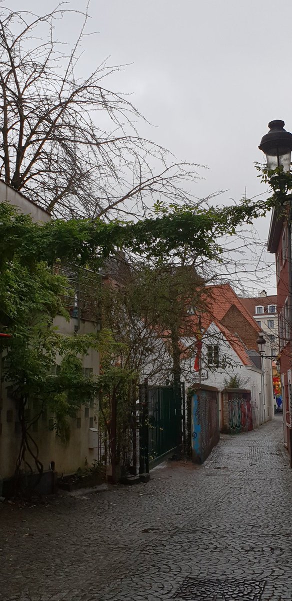 nadazdravic's tweet image. #quelque part