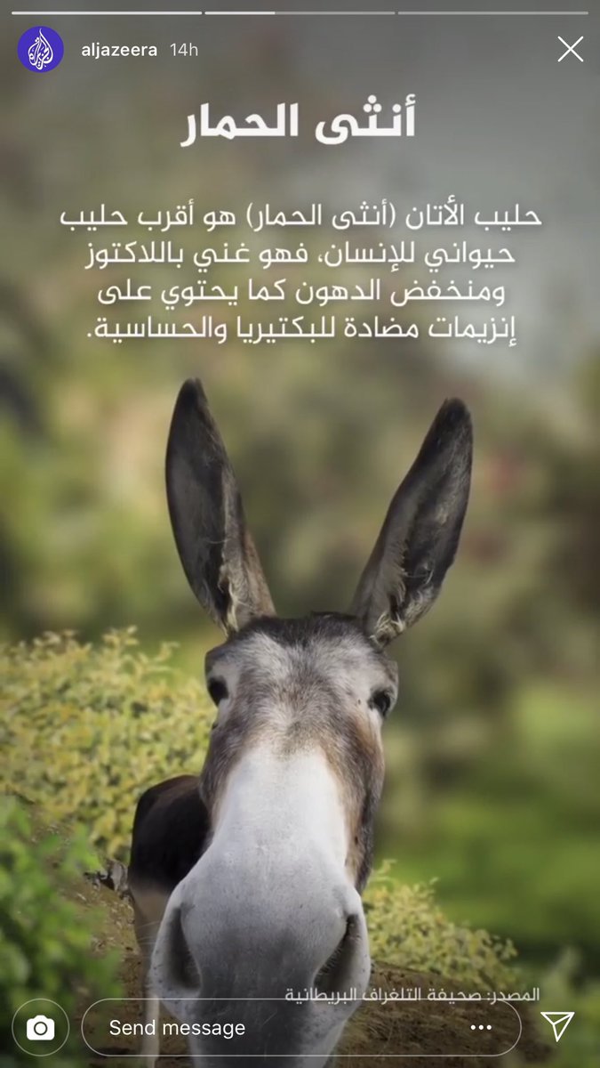 ra___a09's tweet photo. #سفاره_قطر_مرحاض_الفرنسيين
ضروري يقطعون حليب الحمير تحسبون الموضوع مزح ذي قناة الجزيره بحسابها في الانستقرام تروج له ، لأنه واضح هو اللي لاعب في حسبتهم ومخليهم حمير و مطايا https://t.co/H2LZFnXnyX