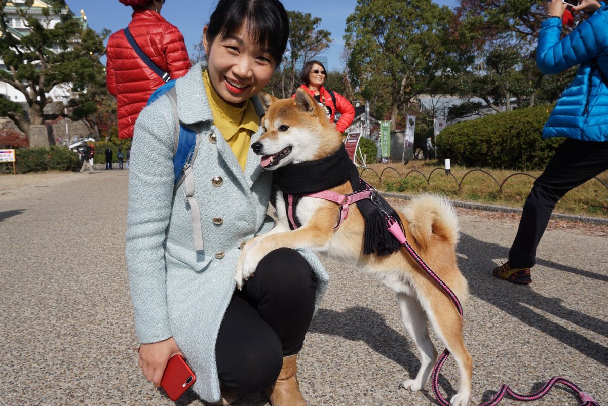 Daolily's tweet photo. Our first stop at Osaka such a friendly city including their dogs. My highlight for the day is those cheese cakes just out from oven. @uonlawschool #UONLawJapan #Osaka #internationalstudyprogram https://t.co/Dh3pM0rHDt
