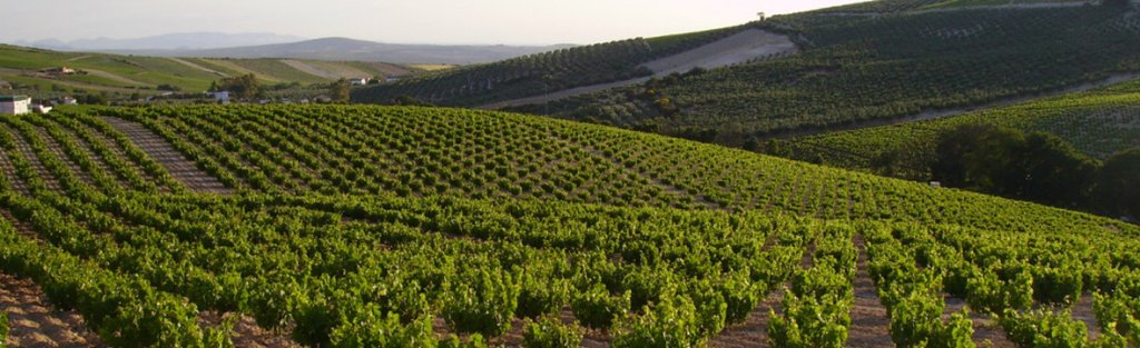 Inscripción Charla - Coloquio Consejo Regulador catadevinopuentegenil.com/2018/12/02/cha…