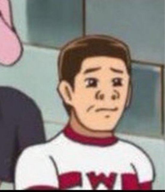 ナミ 女の子は誰でもプリキュアになれる 男の子は誰でもプリキュアになれる 12 1 New 原西さんはキュアゴリラに なれる まだ