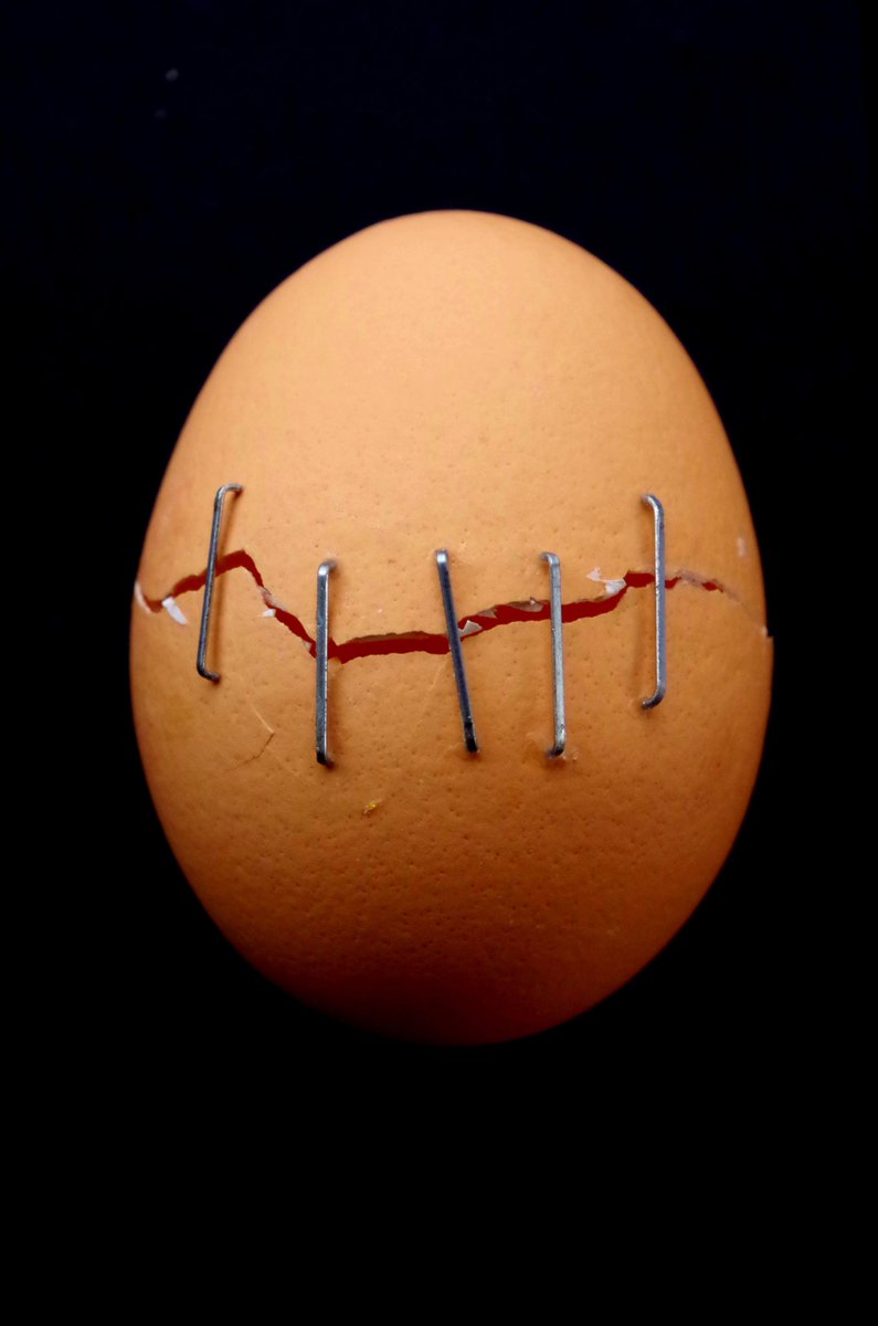 DenoelCharlotte's tweet photo. Quoi de n’oeuf ? #omnifood #photography #art https://t.co/3PArFC1Sjh