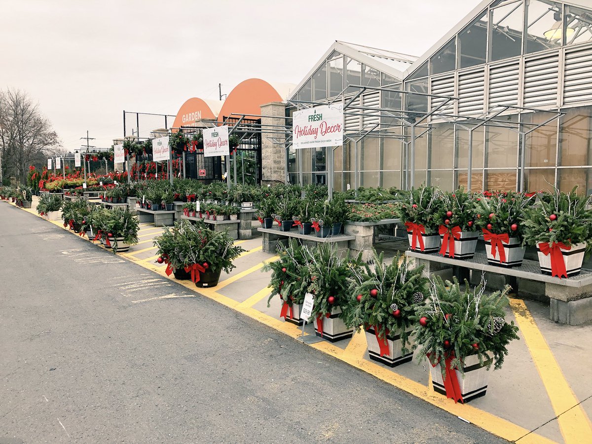 AmillerBell's tweet photo. In need of holiday greens? From wreaths.. to roping.. planters.. and shrubs galore! Swing into 4120 for your Holiday Decor! @D_Liberato1 @JimTeoli https://t.co/tW2Ub1NeJl
